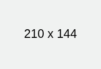 Mobile App Interface